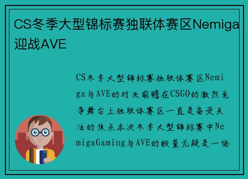 CS冬季大型锦标赛独联体赛区Nemiga迎战AVE