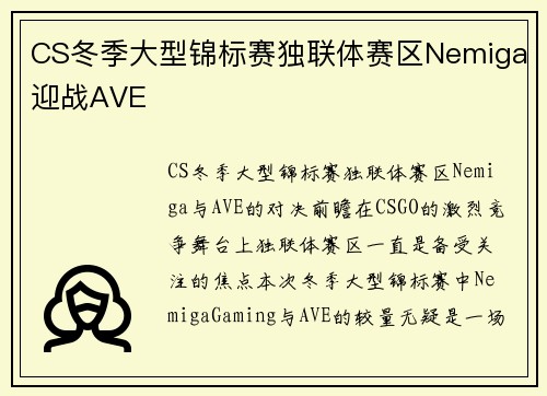 CS冬季大型锦标赛独联体赛区Nemiga迎战AVE