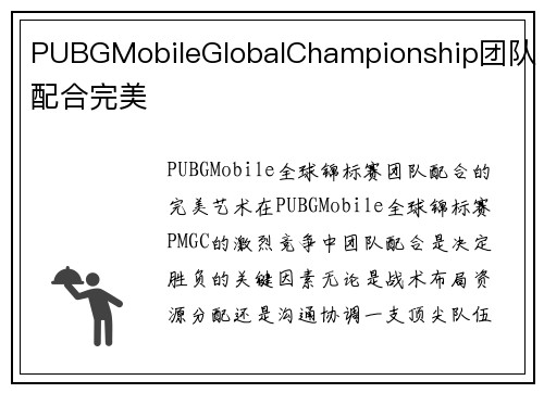 PUBGMobileGlobalChampionship团队配合完美