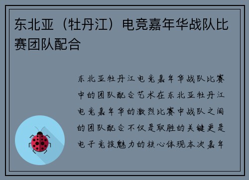 东北亚（牡丹江）电竞嘉年华战队比赛团队配合