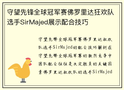 守望先锋全球冠军赛佛罗里达狂欢队选手SirMajed展示配合技巧