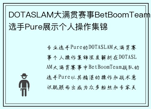 DOTASLAM大满贯赛事BetBoomTeam战队选手Pure展示个人操作集锦